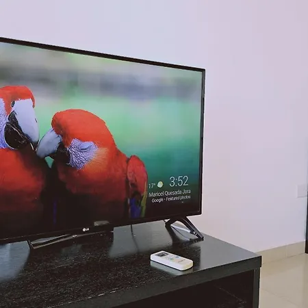 Apartment White Petals *